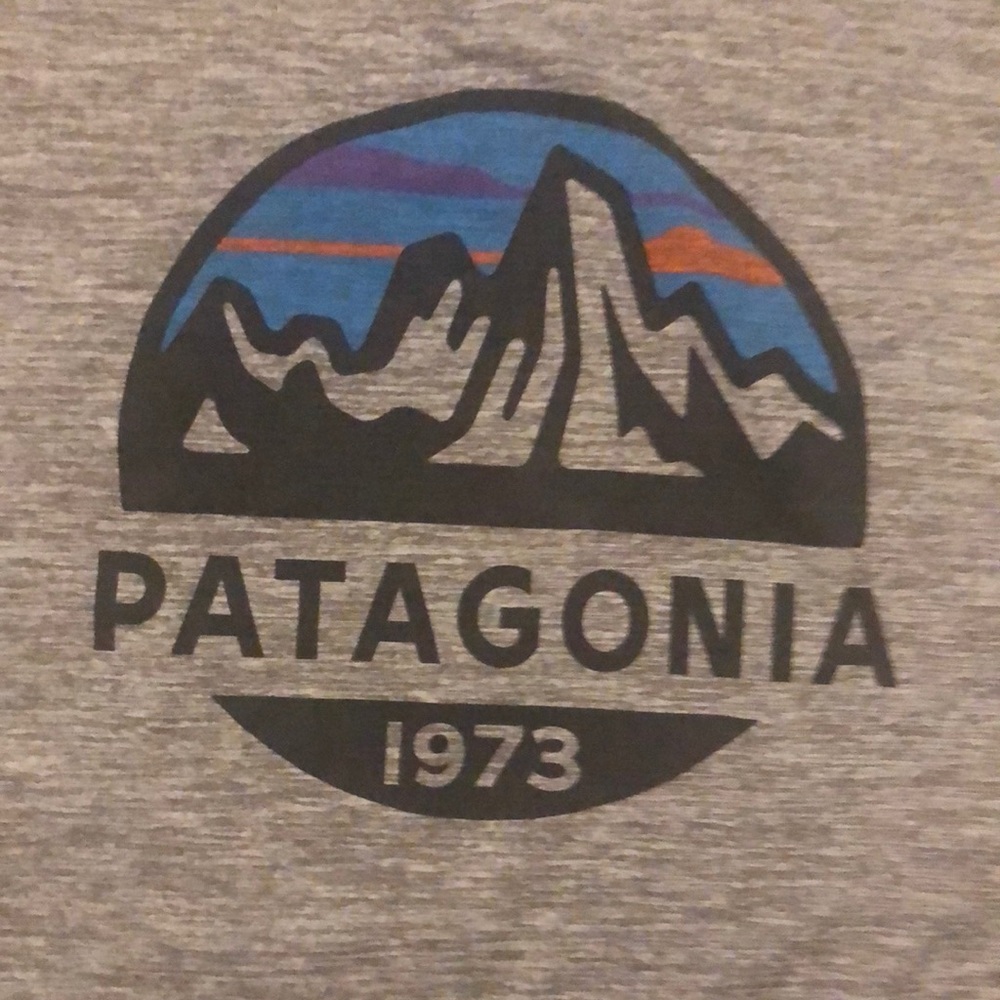 Patagonia dry fit tshirt